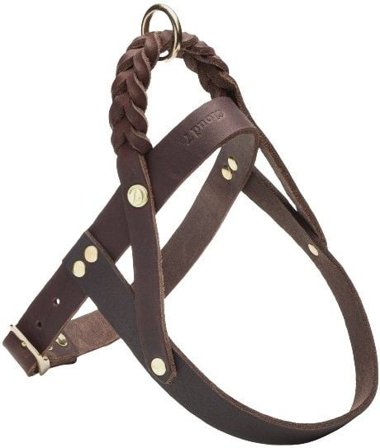 Cloud7 Harness Central Park M-L Saddle Brown Gold