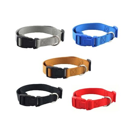 XS Størrelse Hund Valp Kjæledyr Halsbånd Justerbar Nylon Leke Rosa Blå Rød Svart Svart