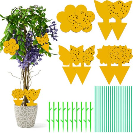 Dubbelsidig gul fälla