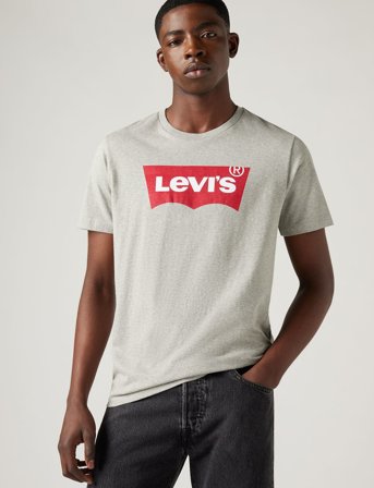 Levi's Graphic Setin Neck Graphic H21 - Grey - L