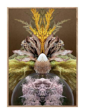 Reflection Cc1 Home Decoration Posters & Frames Posters Botanical Multi/mønstret ChiCura