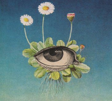 The limited circle is pure OJERUM