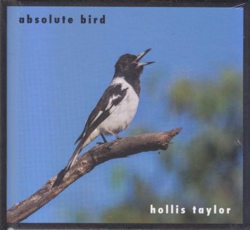 Absolute bird HOLLIS TAYLOR