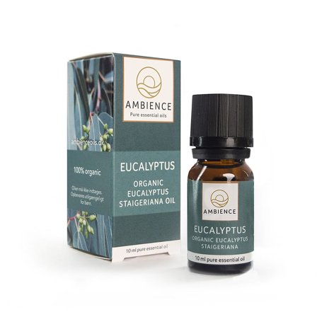 Ambience Eukalyptus Olie Økologisk 10 ml, Tøj & Bolig, Duftolier, Æteriske Olier