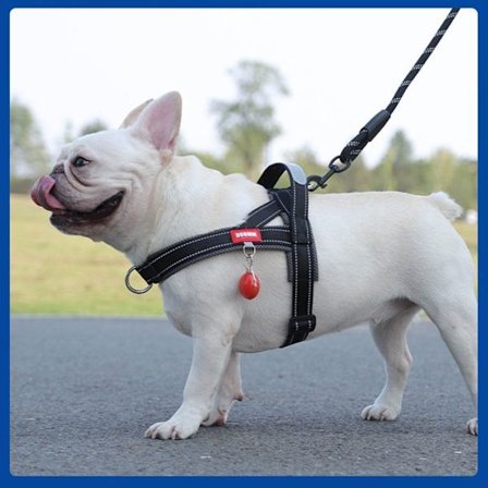 Justerbar hundsele, bekväm, reflexiv, solid klassisk med säkerhetshandtag och krok - Storlek S svart