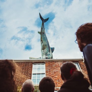 Anti-fun propaganda Gen And The Degenera