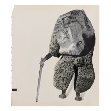 Rain shadow GOLDEN RETRIEVER/CHU