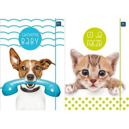 Interdruk mapp med elastisk A4 + LUX UV Puppy Skylt (10 stycken)