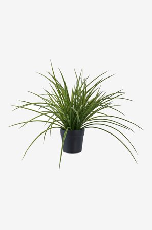 House Nordic - Gress - Grønn - Kunstige planter & blomster - Fra Homeroom