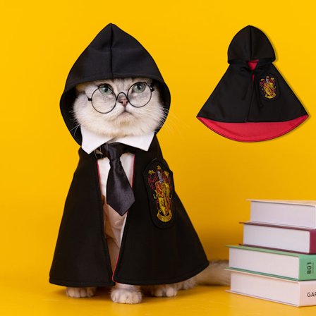 Hogwarts Halloween kæledyrskåbe