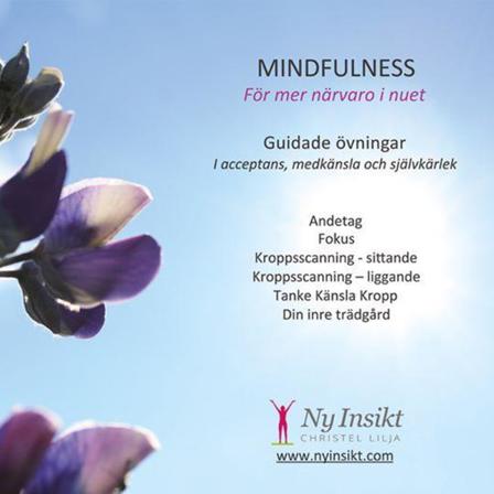 Mindfulness : för mer närvaro i nuet 9789198373103