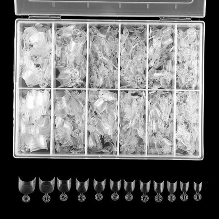 CDQ 600 st Korta Nagelspetsar Korta Ovala Cover False Nail Tips