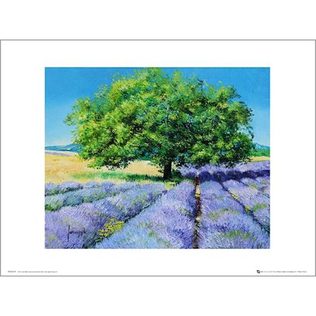 Exklusivt Art Print - Jean-Marc Janiaczyk - Tree and Lavenders