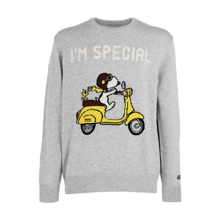 Saint Barth, Round-neck Knitwear Grijs, Heren, Maat:S