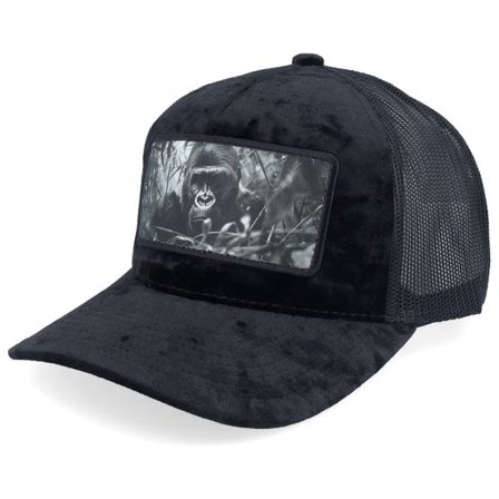 Calza Pennello - Svart trucker Keps - Gorilla Big Patch Velvet Black Trucker @ Hatstore