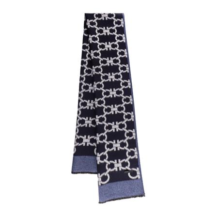 Salvatore Ferragamo, Scarf Blauw, Heren, Maat:ONE Size