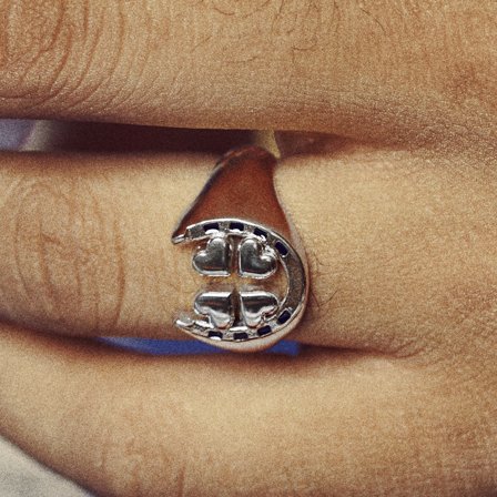 Ace | Silver-tone 4-leaf Clover & Horseshoe Signet Ring for Men - Steel rings