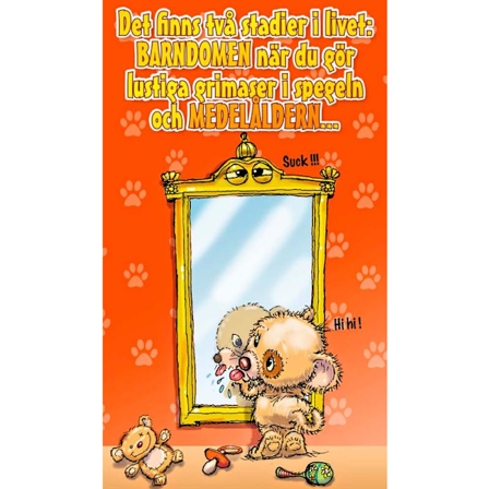 Grattis kort - Det finns två stadier i livet