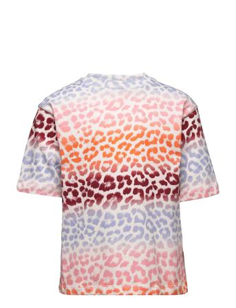 Reen Patterned Molo