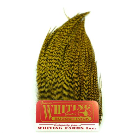 Whiting Bugger Pack Grizzly dyed Golden Olive