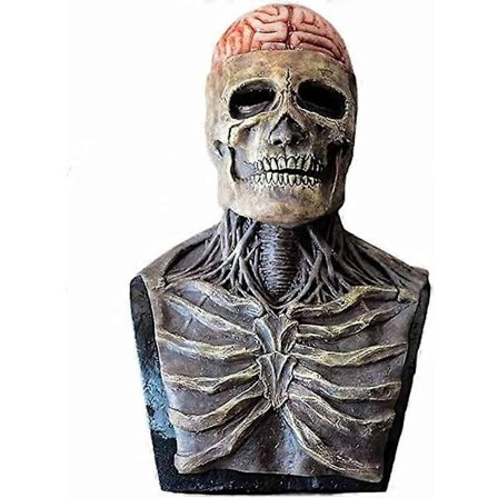 Skræmmende Kranium Maske, Latex Kranium Maske, Halloween Maske til Voksne Der Er Ekstremt Ængstelige Med Aftagelige Kæber, Rollespil