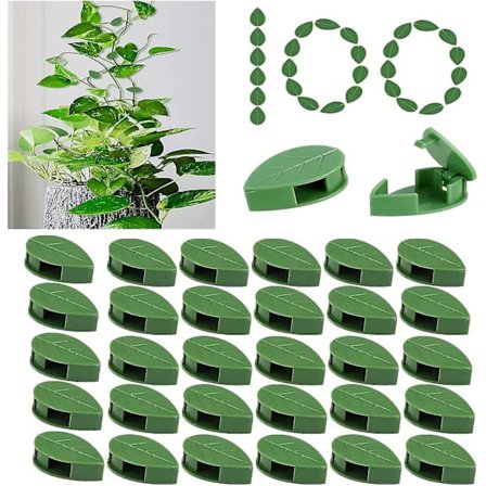 100 kpl Kasvien Kiipeilyseinän Kiinnitysliimat Akryyli-itseliimautuvat Tarrat Kasvien Kiinnittimet Viiniköynnöksen Veto Voimaton Pidike Kiipeilykasvi