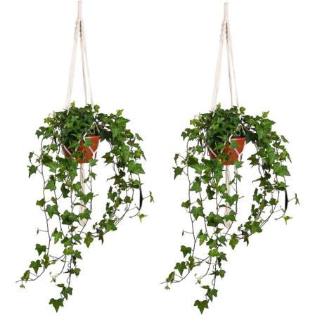 Tre H Planteophæng Blomsterpotteholder Hængende Planteholder Kurvesæt Håndlavet Reb Til Indendørs Stue Balkon Dekoration 41 Tommer