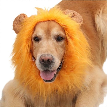 Hundeløvemanke-kostumer til Halloween jul, sjov kæledyrsløvemanke-paryk