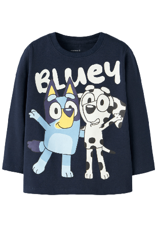 Name It NMMJONAS BLUEY LS NREG TOP BOX SKY Hoodies & sweatshirts Herr Blå 92