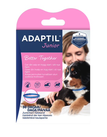 Adaptil - Calm Junior - feromonhalsbånd 37,5 cm - Hund - Hundepleie & kosttilskudd - Antistress & feromoner - ZOO.no