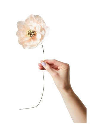 Paper Flower, Poppy Pink Studio About