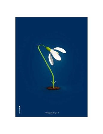 Vintergaek-Morkebla Home Decoration Posters & Frames Posters Botanical Multi/mønstret Brainchild