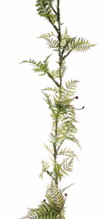 Mr Plant Girlander Grønn 200cm