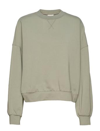 Erwin Sweat Sweatshirt Trøje Grøn Varley