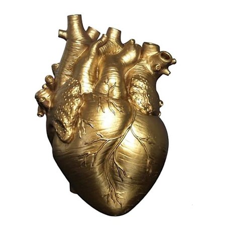 Anatomisk Hjerteformet Vase Nordisk Blomsterpotte Kroppskunst Vase S