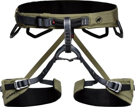 Mammut Togir 3 Slide Mountaineering equipment Green XL