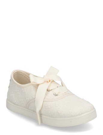 Kavat | Derome | 31/19.5CM