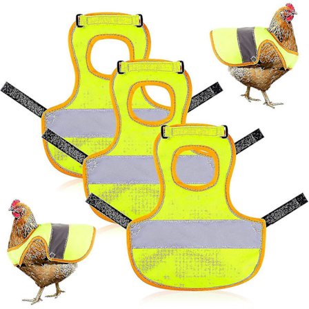 3 kpl Kana Heijastinliivi Säädettävä Kana Valjaat Kävely Kana Kana Satula Kana Esiliinat Kanoille Höyhen Suoja