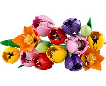 LEGO Botanicals Bukett med tulpaner 11501