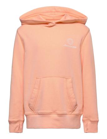Kids Girls Sweatshirts Pink Abercrombie & Fitch