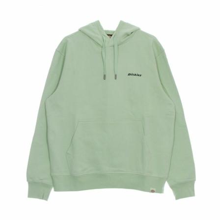Dickies, Lightweight Hoodie Loretto Groen, Heren, Maat:M