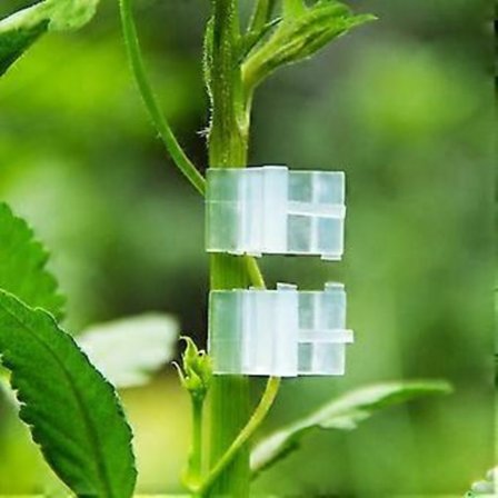 100 stk. Speciale Plantegrafting Clips - Tomatplante Grafting Clip Aubergine Grafting Clip - Fjederbelastede Plast Støtte Clips
