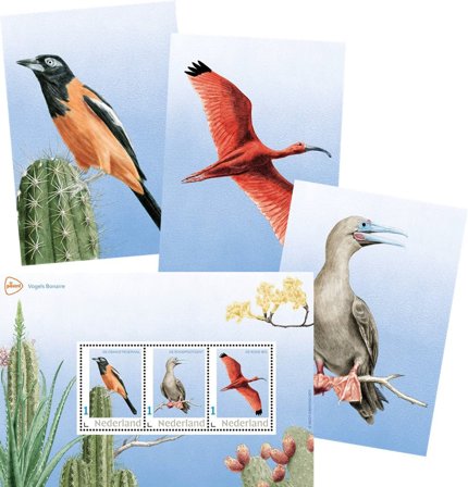 Holland - Bonaire fugle - Postfrisk miniark samt tre kort