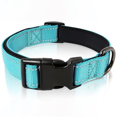 Koiran panta - Valmistettu neopreenista ja nylonista - Säädettävä heijastava koulutuspanta, taivaansininen, koko M