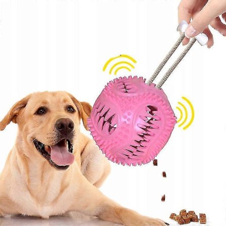Interaktiv Hundleksaksboll Djurfoder Behandling Bitresistent Naturlig Elastisk Gummiboll Ft