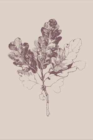 Malerifabrikken - Plakat Botanica 3 - Beige - Posters - Fra Homeroom