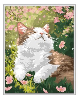 Maalaa numeroiden mukaan Nauttia