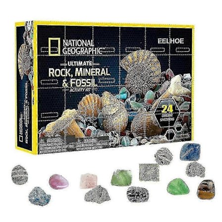 Jule Sten Fossil Sten Sæt Adventskalender Gaveæske Tidlig Uddannelse Legetøj