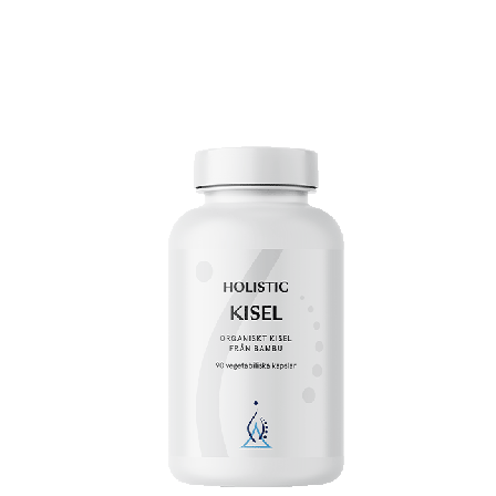 Holistic Kisel 90 kapsler