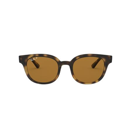 Ray-Ban Rb4324 Polarized Brun, Dame Solbriller